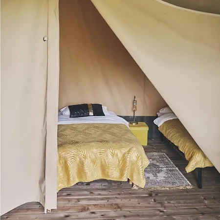 D'artagnan Margouet-Meymes