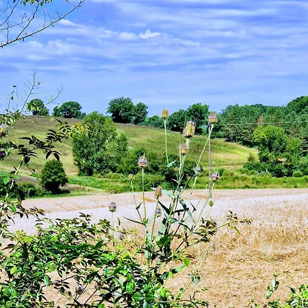 D'artagnan * Margouet-Meymes