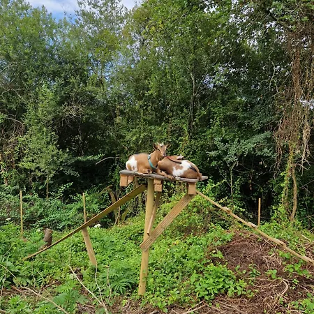 Luxussátor D'artagnan *